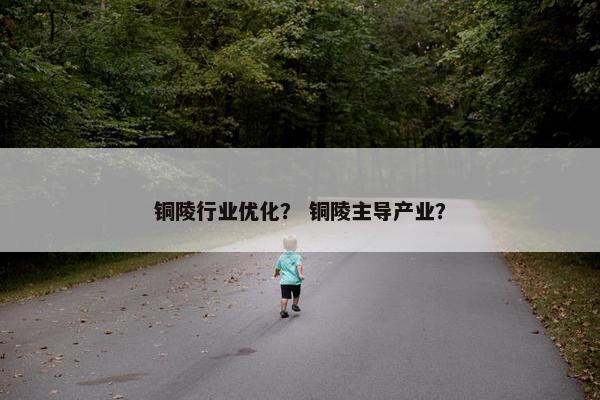铜陵行业优化？ 铜陵主导产业？