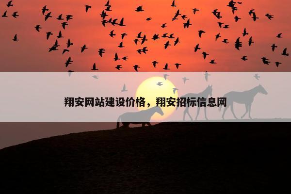 翔安网站建设价格，翔安招标信息网