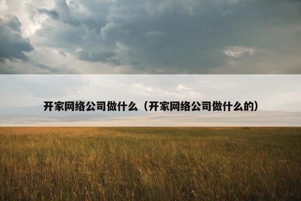 开家网络公司做什么（开家网络公司做什么的）