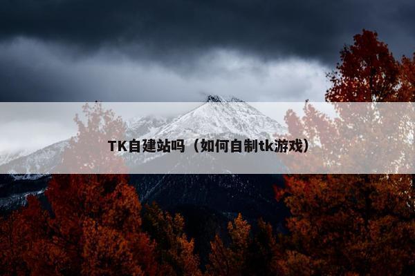TK自建站吗（如何自制tk游戏）