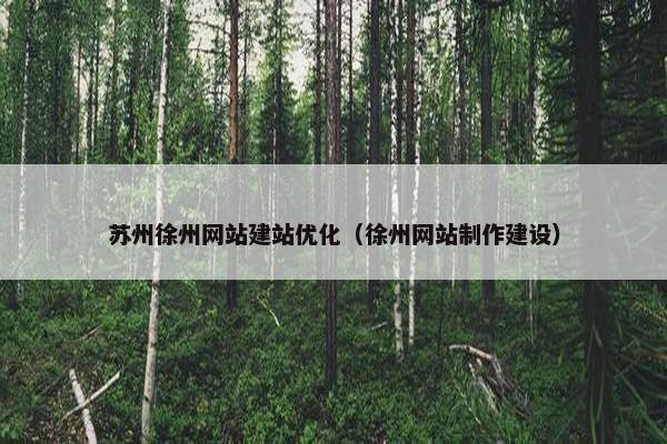 苏州徐州网站建站优化（徐州网站制作建设）