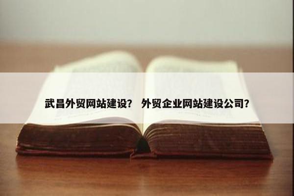 武昌外贸网站建设？ 外贸企业网站建设公司？