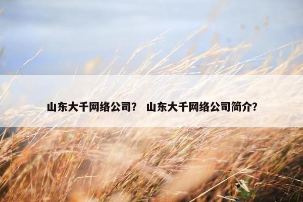 山东大千网络公司？ 山东大千网络公司简介？