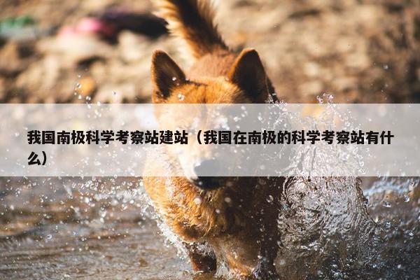 我国南极科学考察站建站（我国在南极的科学考察站有什么）