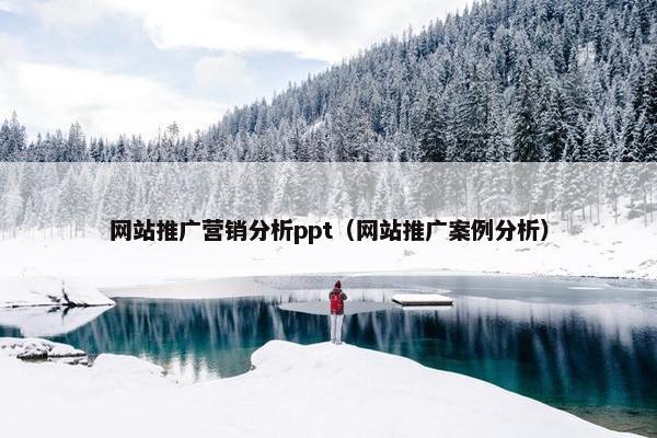 网站推广营销分析ppt（网站推广案例分析）
