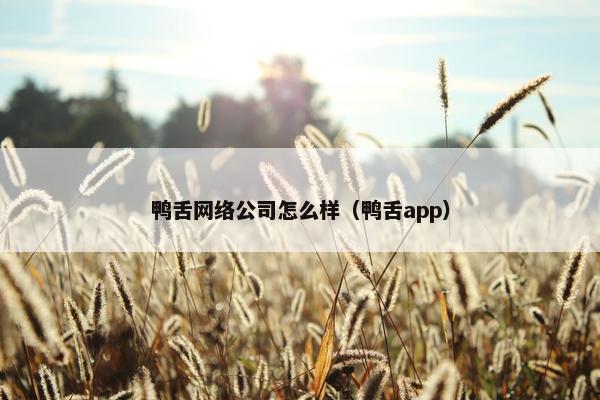 鸭舌网络公司怎么样（鸭舌app）