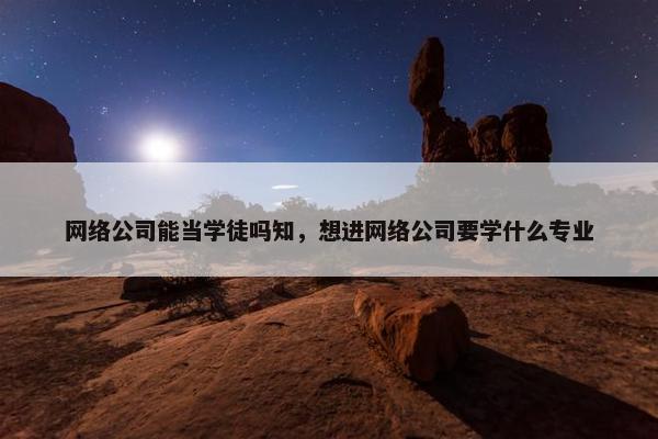 网络公司能当学徒吗知，想进网络公司要学什么专业