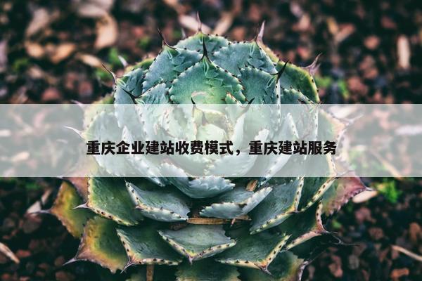 重庆企业建站收费模式，重庆建站服务