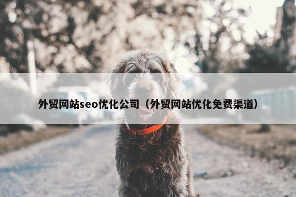 外贸网站seo优化公司（外贸网站优化免费渠道）
