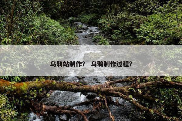 乌鸦站制作？ 乌鸦制作过程？