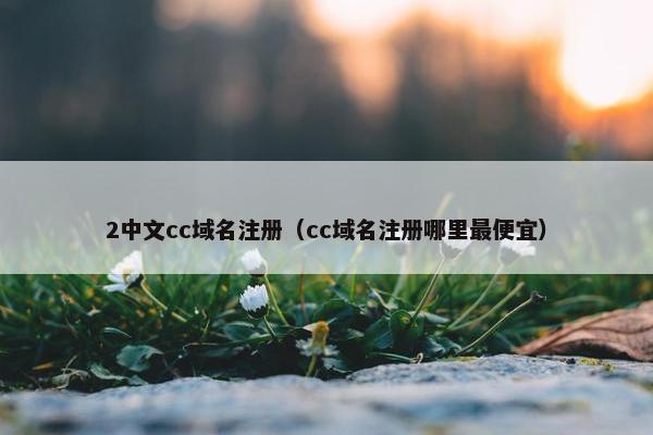 2中文cc域名注册（cc域名注册哪里最便宜）