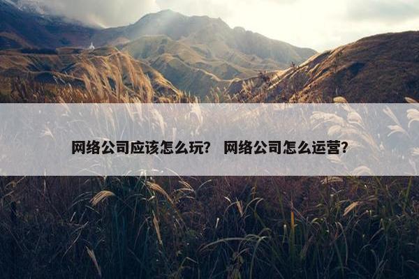 网络公司应该怎么玩？ 网络公司怎么运营？