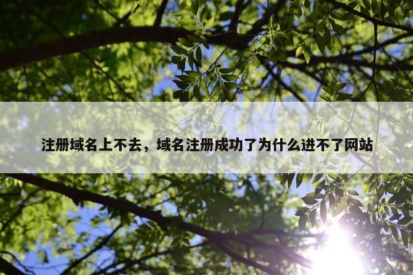 注册域名上不去，域名注册成功了为什么进不了网站