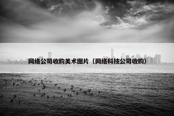 网络公司收购美术图片（网络科技公司收购）
