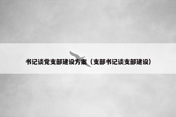 书记谈党支部建设方案（支部书记谈支部建设）