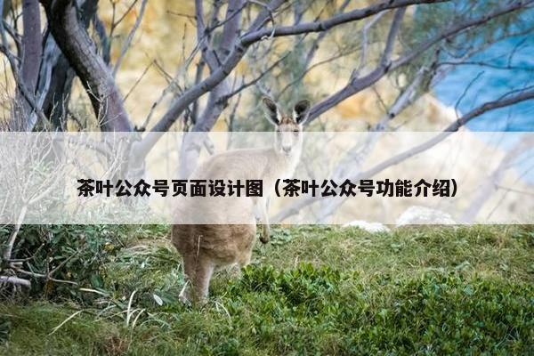 茶叶公众号页面设计图（茶叶公众号功能介绍）