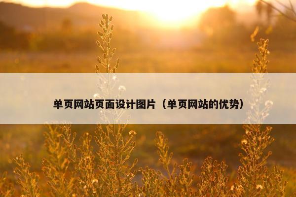 单页网站页面设计图片（单页网站的优势）