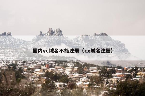 国内vc域名不能注册（cx域名注册）