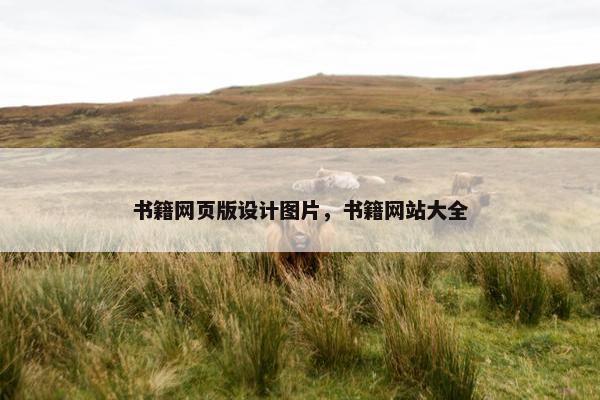 书籍网页版设计图片，书籍网站大全