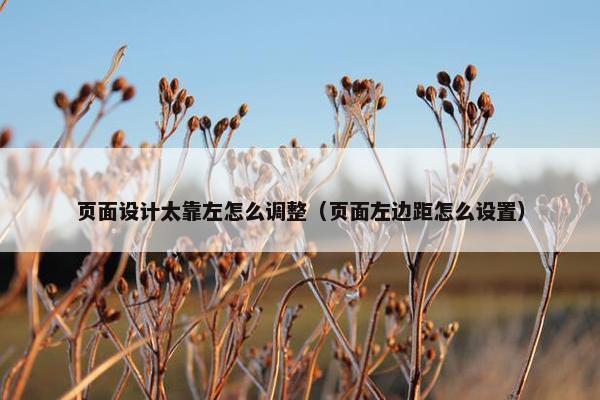 页面设计太靠左怎么调整（页面左边距怎么设置）