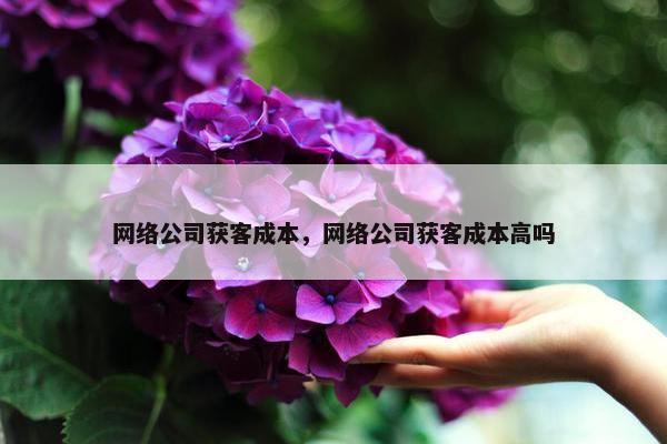 网络公司获客成本，网络公司获客成本高吗