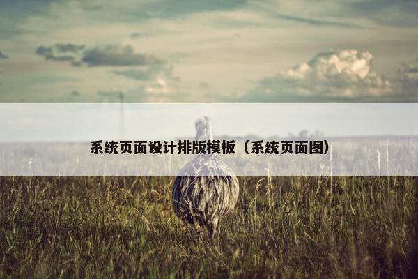 系统页面设计排版模板（系统页面图）