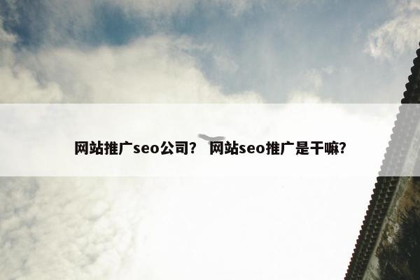 网站推广seo公司？ 网站seo推广是干嘛？