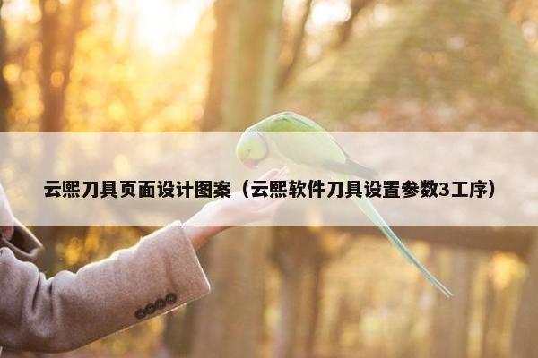 云熙刀具页面设计图案（云熙软件刀具设置参数3工序）