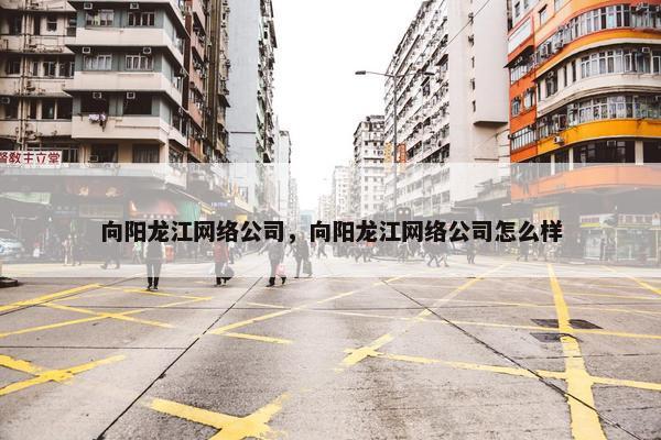 向阳龙江网络公司，向阳龙江网络公司怎么样