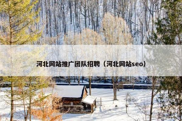 河北网站推广团队招聘（河北网站seo）
