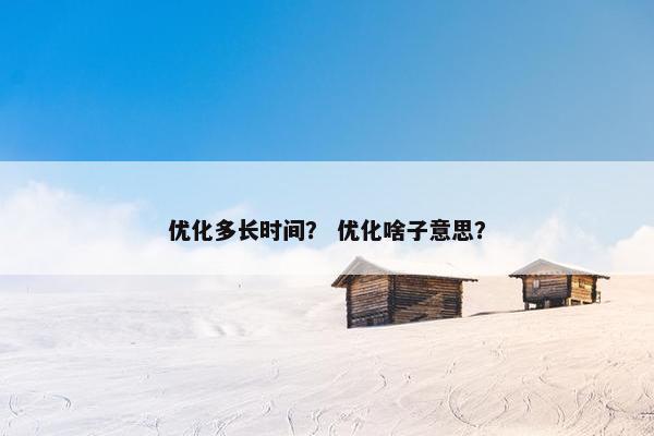 优化多长时间？ 优化啥子意思？