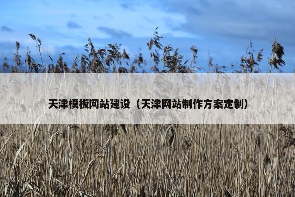 天津模板网站建设（天津网站制作方案定制）