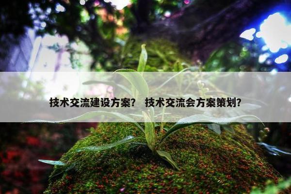 技术交流建设方案？ 技术交流会方案策划？