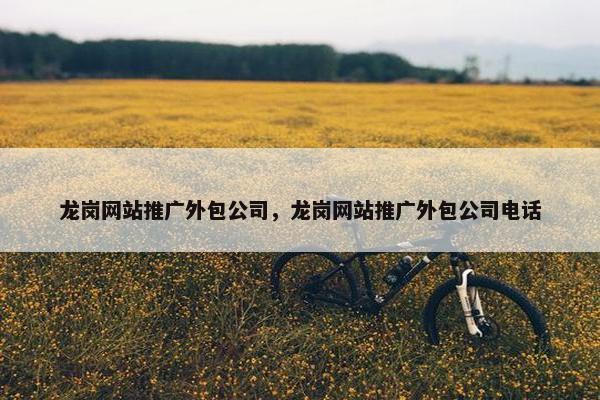 龙岗网站推广外包公司，龙岗网站推广外包公司电话