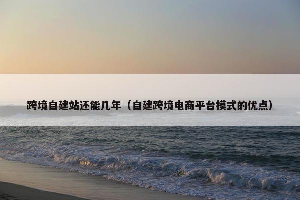 跨境自建站还能几年（自建跨境电商平台模式的优点）