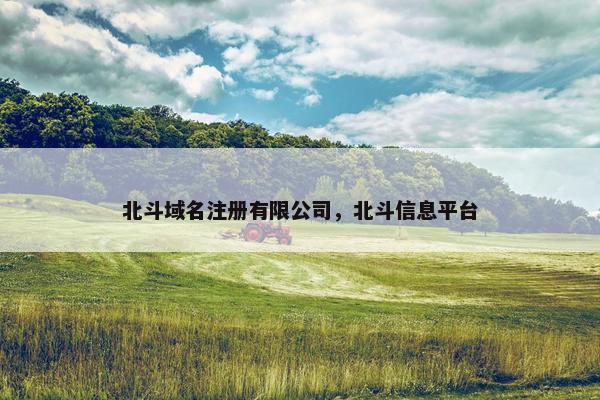 北斗域名注册有限公司，北斗信息平台