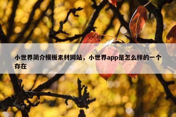 小世界简介模板素材网站，小世界app是怎么样的一个存在