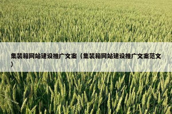 集装箱网站建设推广文案（集装箱网站建设推广文案范文）