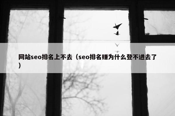 网站seo排名上不去（seo排名赚为什么登不进去了）