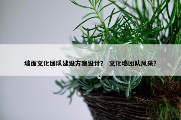 墙面文化团队建设方案设计？ 文化墙团队风采？