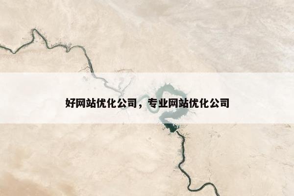 好网站优化公司，专业网站优化公司