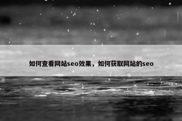 如何查看网站seo效果，如何获取网站的seo