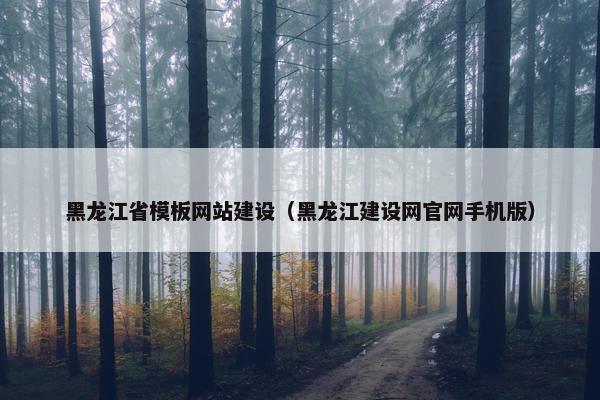 黑龙江省模板网站建设（黑龙江建设网官网手机版）