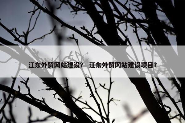 江东外贸网站建设？ 江东外贸网站建设项目？