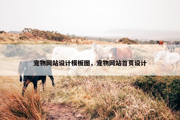 宠物网站设计模板图，宠物网站首页设计