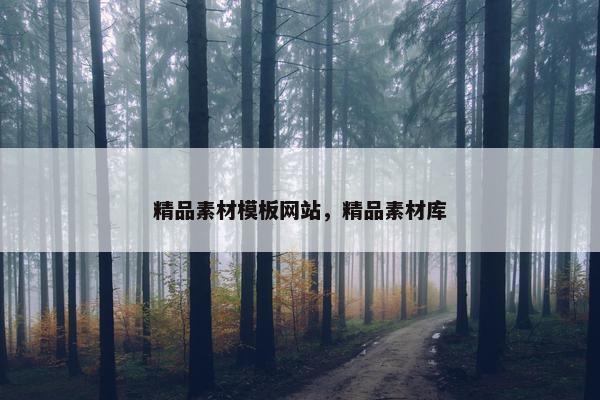 精品素材模板网站，精品素材库