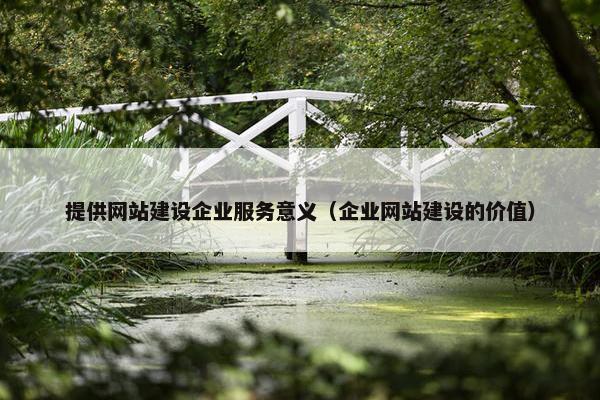 提供网站建设企业服务意义（企业网站建设的价值）