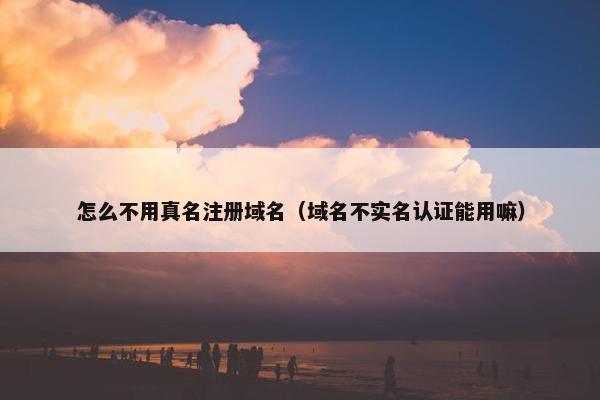 怎么不用真名注册域名（域名不实名认证能用嘛）