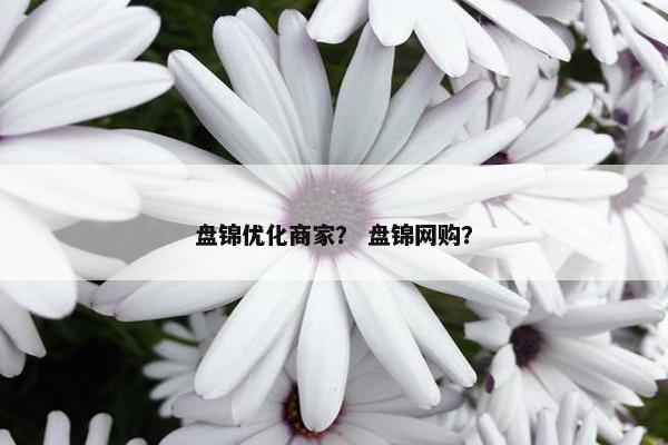 盘锦优化商家？ 盘锦网购？