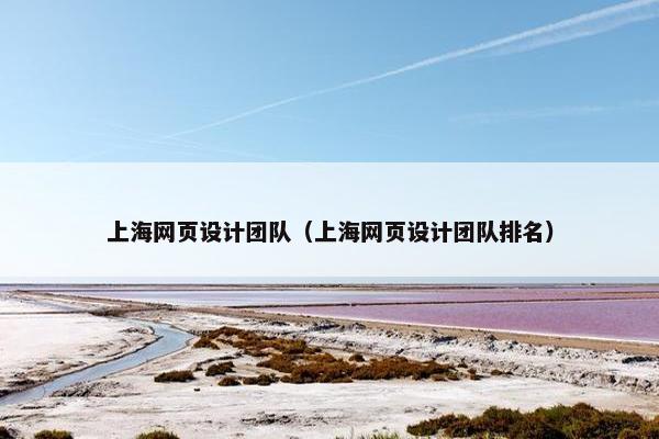 上海网页设计团队（上海网页设计团队排名）